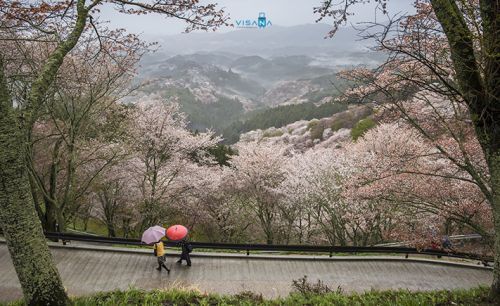 Kinh nghiệm du lịch Nhật Bản